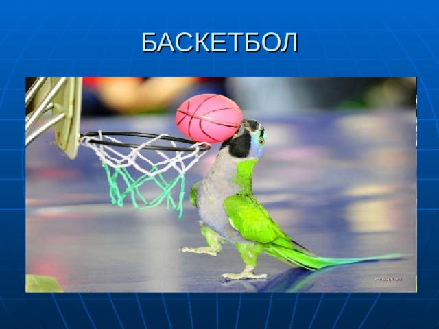 БАСКЕТБОЛ 