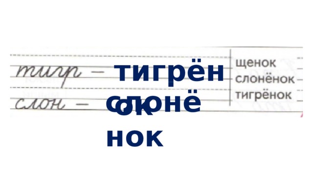 тигрёнок слонёнок 