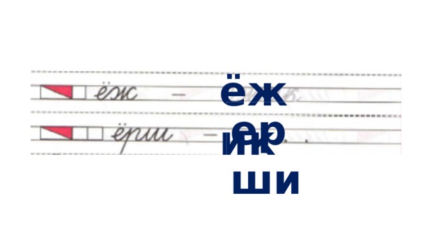 ёжик ерши 