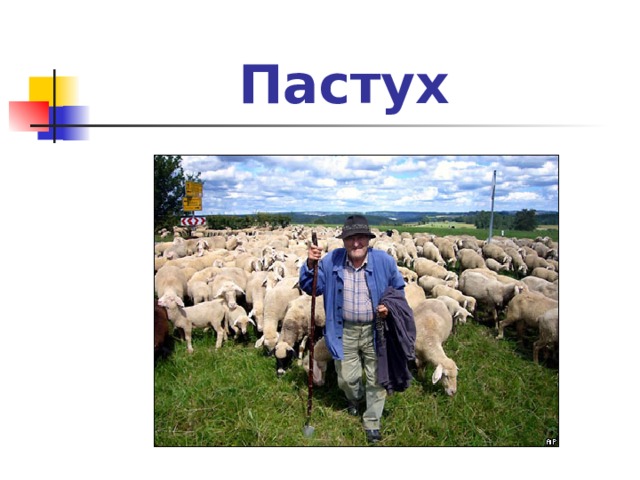 Пастух 
