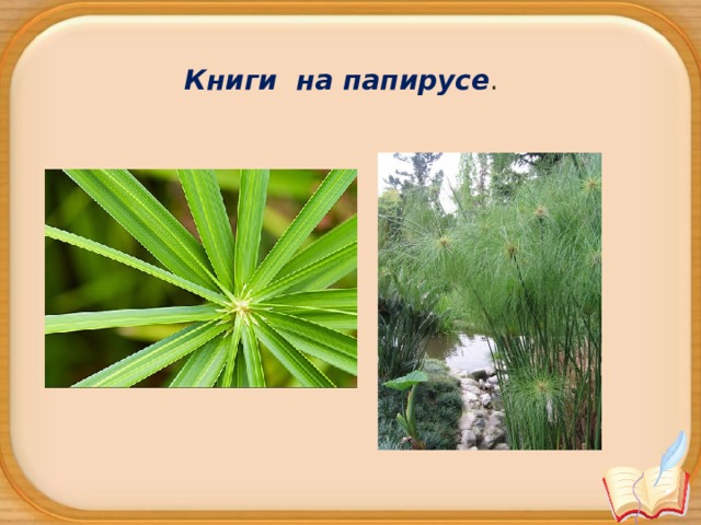 Книги на папирусе . 