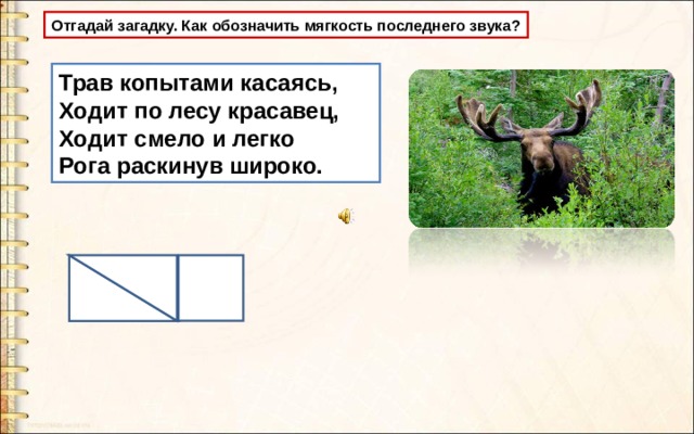 Отгадай загадку. Как обозначить мягкость последнего звука? Трав копытами касаясь,  Ходит по лесу красавец,  Ходит смело и легко  Рога раскинув широко. 