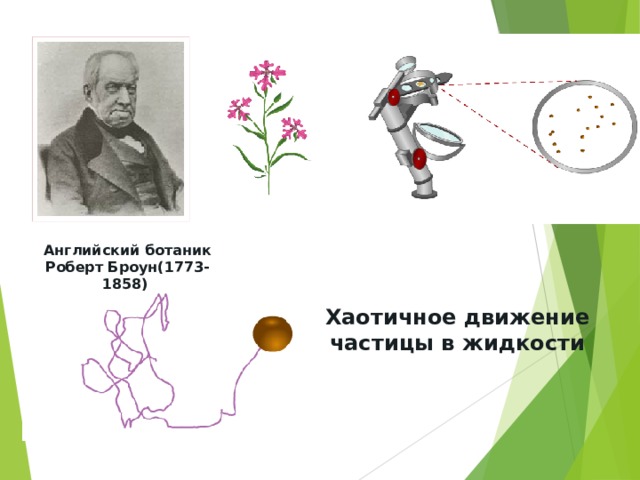 Английский ботаник Роберт Броун(1773-1858) Хаотичное движение частицы в жидкости 