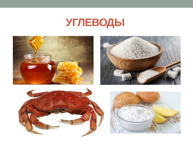 УГЛЕВОДЫ 