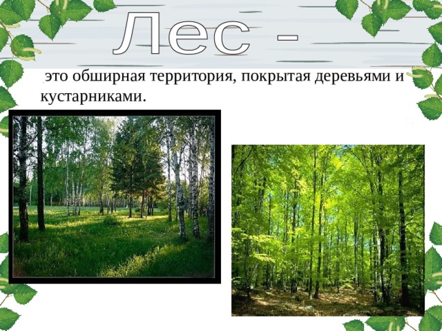  это обширная территория, покрытая деревьями и кустарниками. 