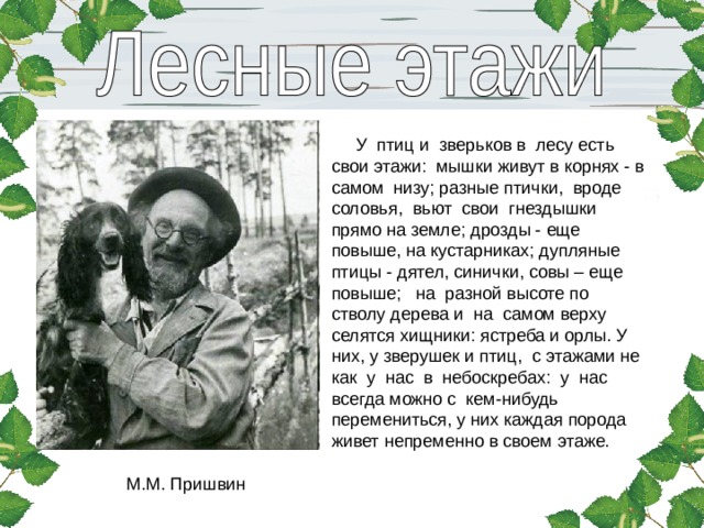  У  птиц и  зверьков в  лесу есть свои этажи:  мышки живут в корнях - в самом  низу; разные птички,  вроде соловья,  вьют  свои  гнездышки прямо на земле; дрозды - еще повыше, на кустарниках; дупляные птицы - дятел, синички, совы – еще повыше;   на  разной высоте по  стволу дерева и  на  самом верху селятся хищники: ястреба и орлы. У них, у зверушек и птиц,  с этажами не  как  у  нас  в  небоскребах:  у  нас  всегда можно с  кем-нибудь перемениться, у них каждая порода живет непременно в своем этаже. М.М. Пришвин 