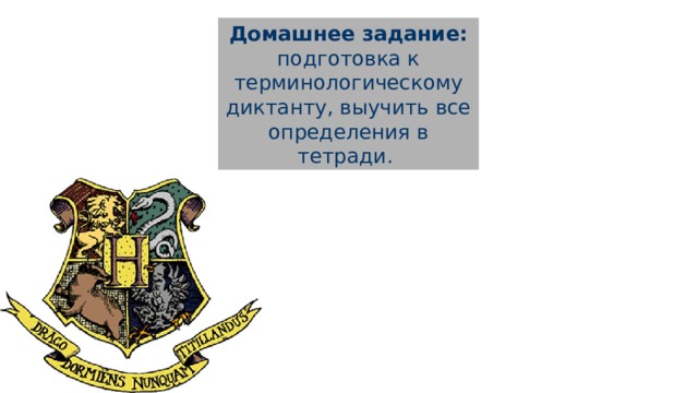 Домашнее задание: подготовка к терминологическому диктанту, выучить все определения в тетради. 