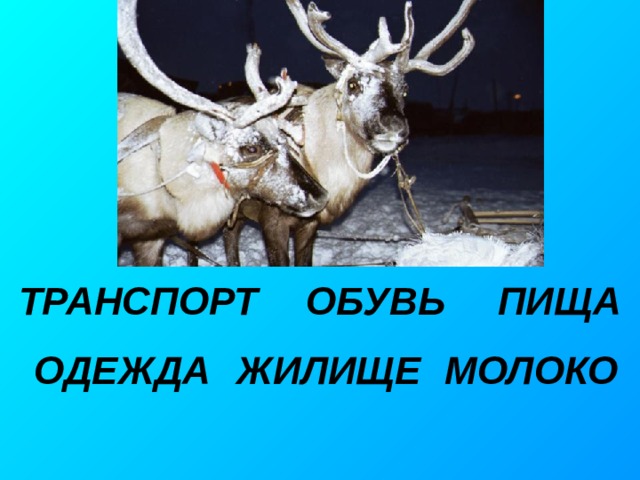 ТРАНСПОРТ ПИЩА ОБУВЬ ОДЕЖДА МОЛОКО ЖИЛИЩЕ 