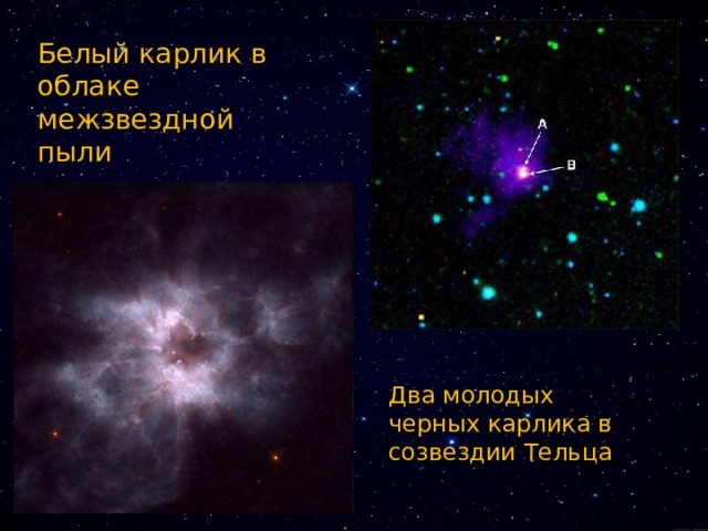 Белый карлик в облаке межзвездной пыли Два молодых черных карлика в созвездии Тельца 