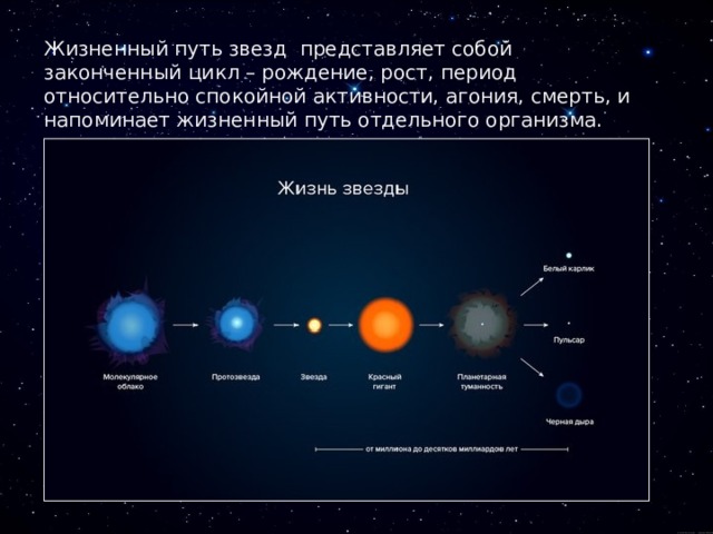 Жизненный путь звезд представляет собой законченный цикл – рождение, рост, период относительно спокойной активности, агония, смерть, и напоминает жизненный путь отдельного организма. 