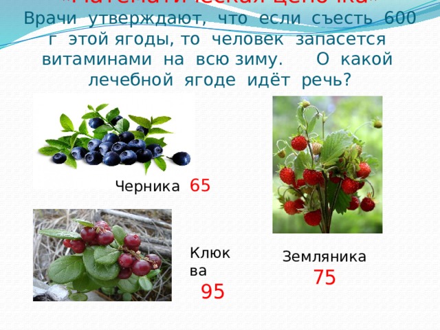   «Математическая цепочка»  Врачи утверждают, что если съесть 600 г этой ягоды, то человек запасется витаминами на всю зиму. О какой лечебной ягоде идёт речь? Черника 65 Клюква 95 Земляника 75 