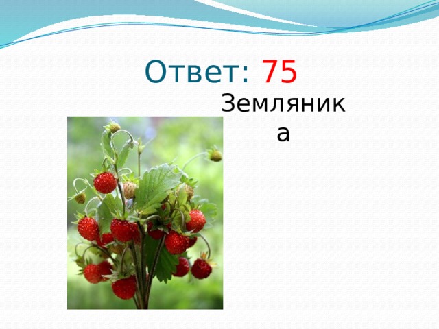 Ответ: 75 Земляника 