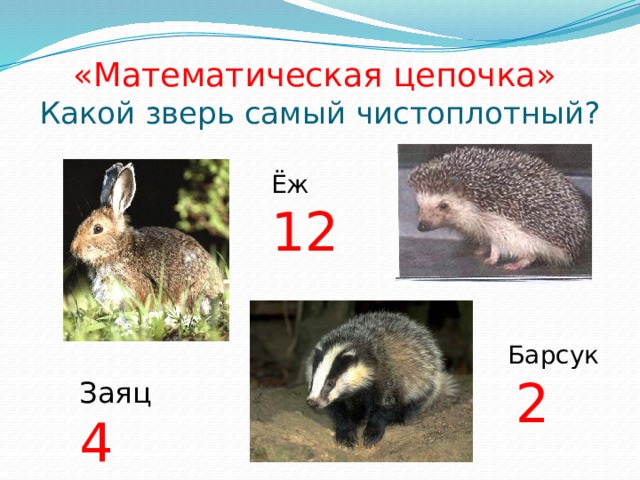 «Математическая цепочка»  Какой зверь самый чистоплотный? Ёж 12 Барсук 2 Заяц 4 