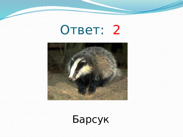Ответ: 2 Барсук 