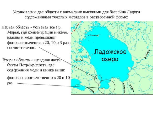 Установлены две области с аномально высокими для бассейна Ладоги содержаниями тяжелых металлов в растворенной форме: Первая область - устьевая зона р. Морье, где концентрации никеля, кадмия и меди превышают фоновые значения в 20, 10 и 3 раза соответственно.  Вторая область - западная часть бухты Петрокрепость, где содержания меди и цинка выше фоновых соответственно в 20 и 10  раз. 