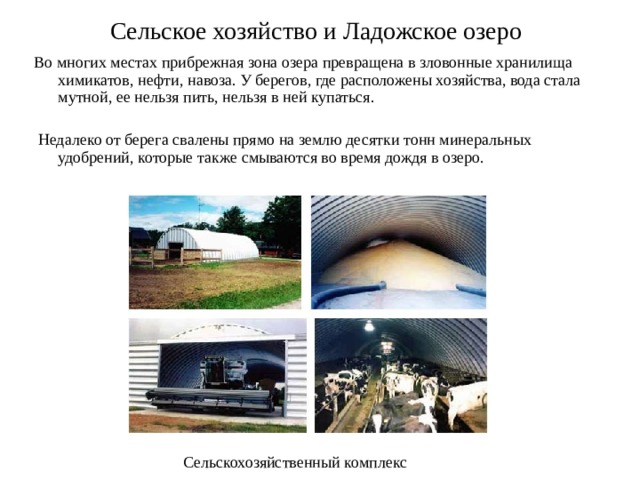 Сельское хозяйство и Ладожское озеро  Во многих местах прибрежная зона озера превращена в зловонные хранилища химикатов, нефти, навоза. У берегов, где расположены хозяйства, вода стала мутной, ее нельзя пить, нельзя в ней купаться.  Недалеко от берега свалены прямо на землю десятки тонн минеральных удобрений, которые также смываются во время дождя в озеро. Сельскохозяйственный комплекс 