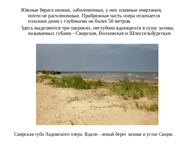 Южные берега низкие, заболоченные, у них плавные очертания, почти не расчлененные. Прибрежная часть озера отличается плоским дном с глубинами не более 50 метров. Здесь выделяются три широких, неглубоко вдающихся в сушу залива, называемых губами - Свирская, Волховская и Шлиссельбургская. Свирская губа Ладожского озера. Вдали - левый берег залива и устье Свири. 