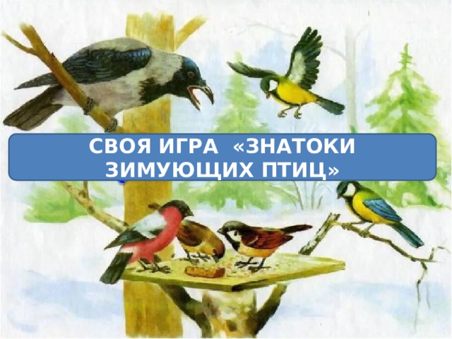 СВОЯ ИГРА «ЗНАТОКИ ЗИМУЮЩИХ ПТИЦ» 