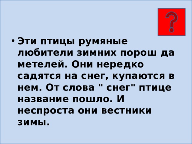 Эти птицы румяные любители зимних порош да метелей. Они нередко садятся на снег, купаются в нем. От слова 