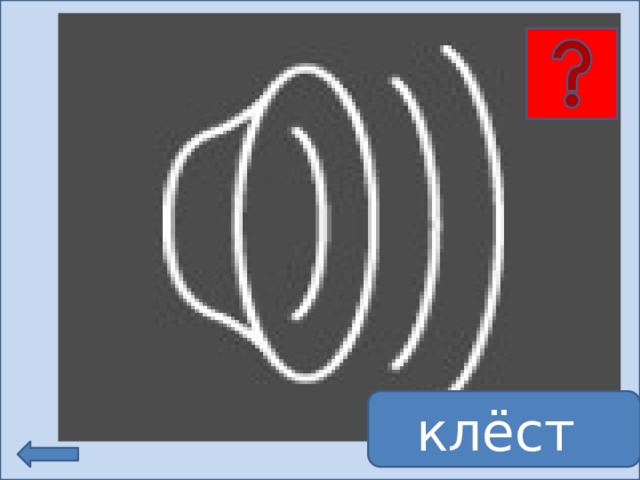 Василиса клёст 