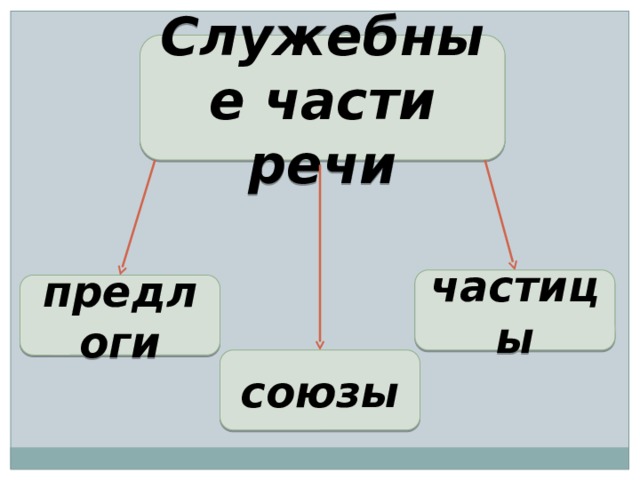 Служебные части речи частицы предлоги союзы 