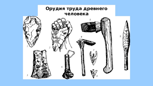 Орудия труда древнего человека 