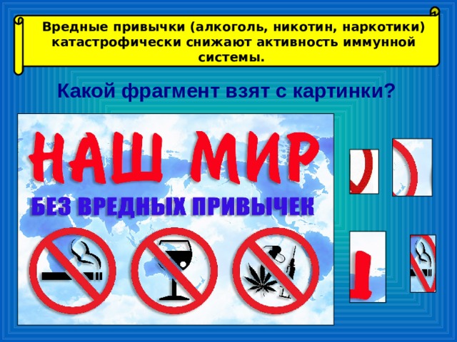 Вредные привычки (алкоголь, никотин, наркотики) катастрофически снижают активность иммунной системы.  Какой фрагмент взят с картинки? 