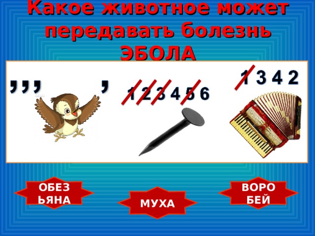 Какое животное может передавать болезнь ЭБОЛА ОБЕЗЬЯНА ВОРОБЕЙ МУХА 