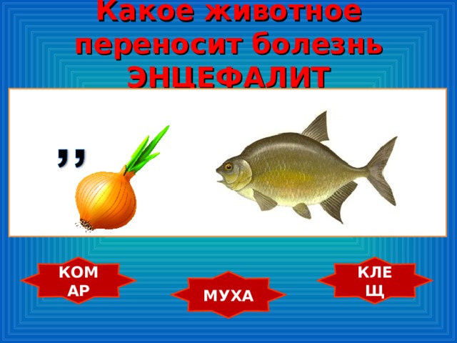 Какое животное переносит болезнь ЭНЦЕФАЛИТ КОМАР КЛЕЩ МУХА 