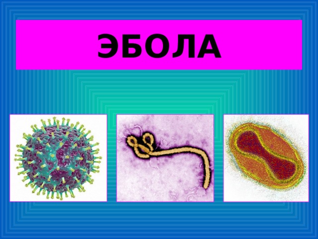 ЭБОЛА 