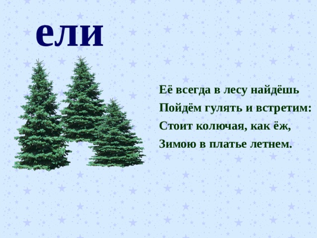 ели Её всегда в лесу найдёшь Пойдём гулять и встретим: Стоит колючая, как ёж, Зимою в платье летнем. 