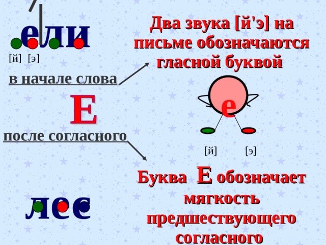 ели Два звука [ й ' э ] на письме обозначаются гласной буквой [ й ] [ э ] в начале слова е после согласного [ й ] [ э ] Буква Е обозначает мягкость предшествующего согласного лес 