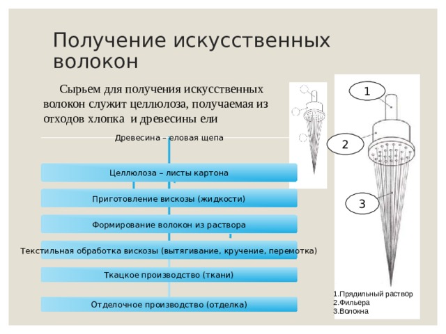 1.Прядильный раствор 2.Фильера 3.Волокна Получение искусственных волокон  Сырьем для получения искусственных волокон служит целлюлоза, получаемая из отходов хлопка и древесины ели 1 2 Древесина – еловая щепа Целлюлоза – листы картона Приготовление вискозы (жидкости) 3 Формирование волокон из раствора Текстильная обработка вискозы (вытягивание, кручение, перемотка) Ткацкое производство (ткани) Отделочное производство (отделка) 