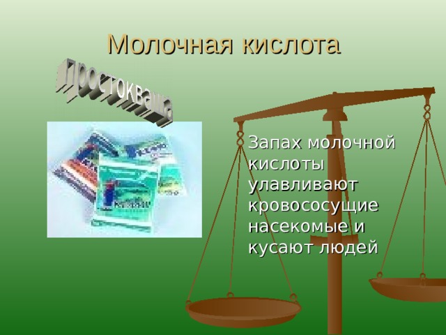 Молочная кислота  Запах молочной кислоты улавливают кровососущие насекомые и кусают людей 