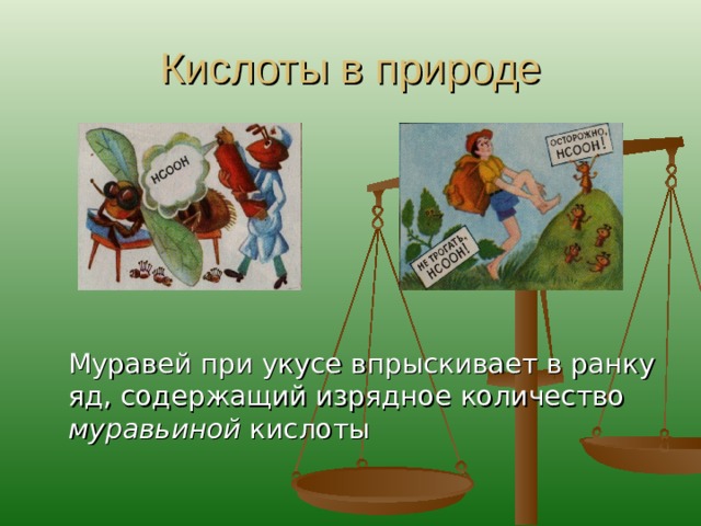 Кислоты в природе  Муравей при укусе впрыскивает в ранку яд, содержащий изрядное количество муравьиной кислоты 