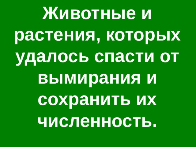 Животные и растения, которых удалось спасти от вымирания и сохранить их численность. 