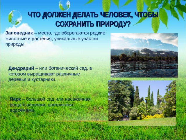 ЧТО ДОЛЖЕН ДЕЛАТЬ ЧЕЛОВЕК, ЧТОБЫ СОХРАНИТЬ ПРИРОДУ? Заповедник – место, где оберегаются редкие животные и растения, уникальные участки природы. Дендрарий – или ботанический сад, в котором выращивают различные деревья и кустарники. Парк – большой сад или насаженная роща с аллеями, цветниками, водоёмами  