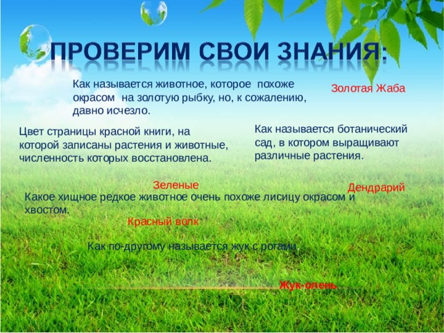 Как называется животное, которое похоже окрасом на золотую рыбку, но, к сожалению, давно исчезло. Золотая Жаба Как называется ботанический сад, в котором выращивают различные растения. Цвет страницы красной книги, на которой записаны растения и животные, численность которых восстановлена. Зеленые Дендрарий Какое хищное редкое животное очень похоже лисицу окрасом и хвостом. Красный волк Как по-другому называется жук с рогами . Жук-олень  