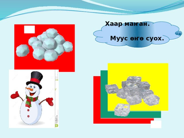  Хаар маҥан. Муус өҥө суох. 