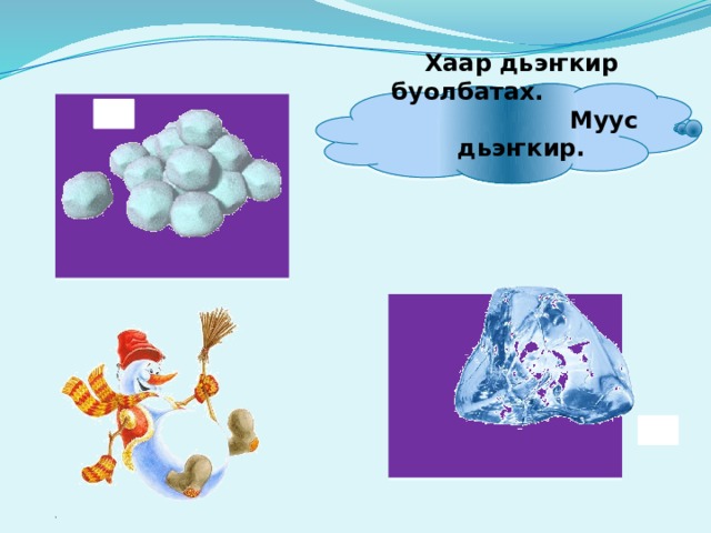 Хаар дьэҥкир буолбатах. Муус дьэҥкир. 