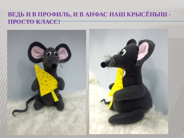 Ведь и в профиль, и в анфас наш крысёныш - просто класс! 