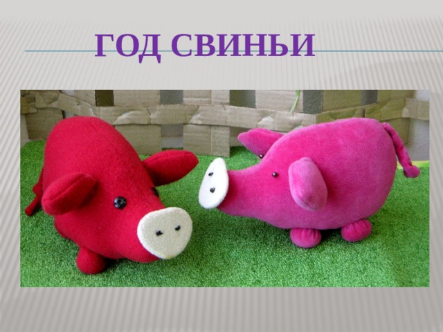  Год свиньи 