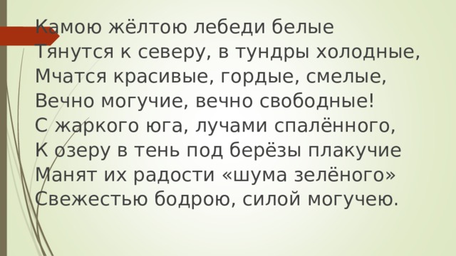 Камою жёлтою лебеди белые Тянутся к северу, в тундры холодные, Мчатся красивые, гордые, смелые, Вечно могучие, вечно свободные! С жаркого юга, лучами спалённого, К озеру в тень под берёзы плакучие Манят их радости «шума зелёного» Свежестью бодрою, силой могучею. 