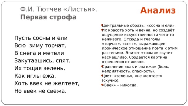  Анализ Ф.И. Тютчев «Листья».  Первая строфа Центральные образы: «сосна и ели». Их красота хоть и вечна, но создаёт ощущение искусственности чего-то неживого. Отсюда и глаголы «торчат», «спят», выражающее ироническое отношение поэта к этим растениям. Эпитет «тощая» звучит насмешливо. Создаётся картина отрешения от жизни. Сравнение «как иглы ежа» (боль, неприятность, опасность). Цвет: «зелень», «не желтеет» (скучно). «Ввек» – никогда.     Пусть сосны и ели Всю зиму торчат, В снега и метели Закутавшись, спят. Их тощая зелень, Как иглы ежа, Хоть ввек не желтеет, Но ввек не свежа. 