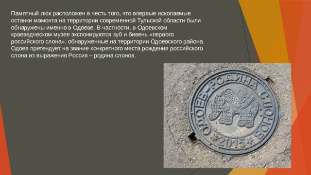 Памятный люк расположен в честь того, что впервые ископаемые останки мамонта на территории современной Тульской области были обнаружены именно в Одоеве. В частности, в Одоевском краеведческом музее экспонируются зуб и бивень «первого российского слона», обнаруженные на территории Одоевского района. Одоев претендует на звание конкретного места рождения российского слона из выражения Россия – родина слонов. 