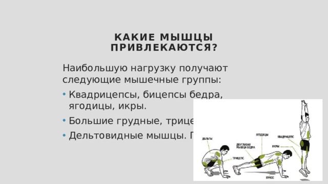 Какие мышцы привлекаются? Наибольшую нагрузку получают следующие мышечные группы: Квадрицепсы, бицепсы бедра, ягодицы, икры. Большие грудные, трицепсы. Дельтовидные мышцы. Пресс . 