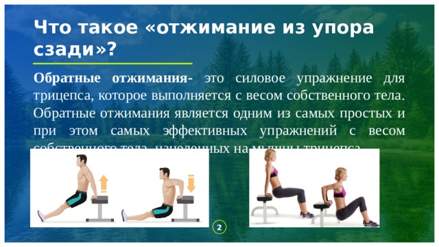 Что такое «отжимание из упора сзади»? Обратные отжимания- это силовое упражнение для трицепса, которое выполняется с весом собственного тела. Обратные отжимания является одним из самых простых и при этом самых эффективных упражнений с весом собственного тела, нацеленных на мышцы трицепса. 1 