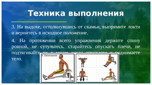 Техника выполнения 3. На выдохе, оттолкнувшись от скамьи, выпрямите локти и вернитесь в исходное положение. 4. На протяжении всего упражнения держите спину ровной, не сутультесь. старайтесь опускать плечи, не подтягивайте их к ушам, когда опускаете и поднимаете тело. 1 