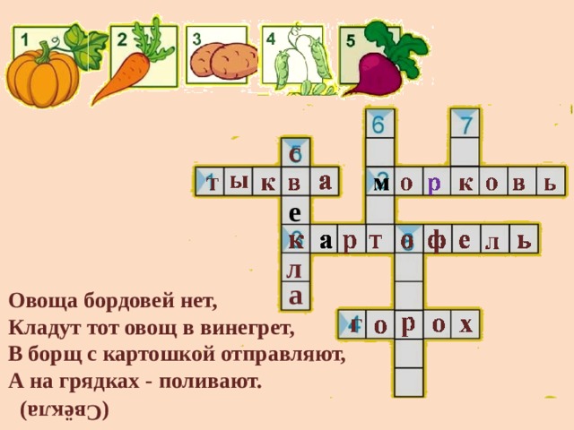 (Свёкла) с е л а Овоща бордовей нет,  Кладут тот овощ в винегрет,  В борщ с картошкой отправляют,  А на грядках - поливают.   