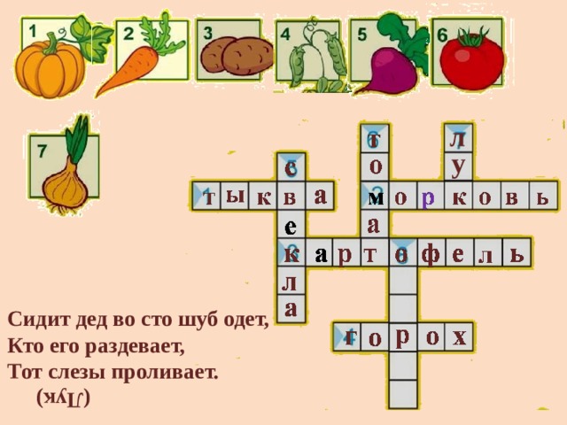 (Лук) л у Сидит дед во сто шуб одет,   Кто его раздевает,   Тот слезы проливает. 